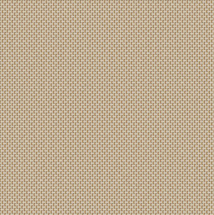 F 1343 C0430 W24 COL