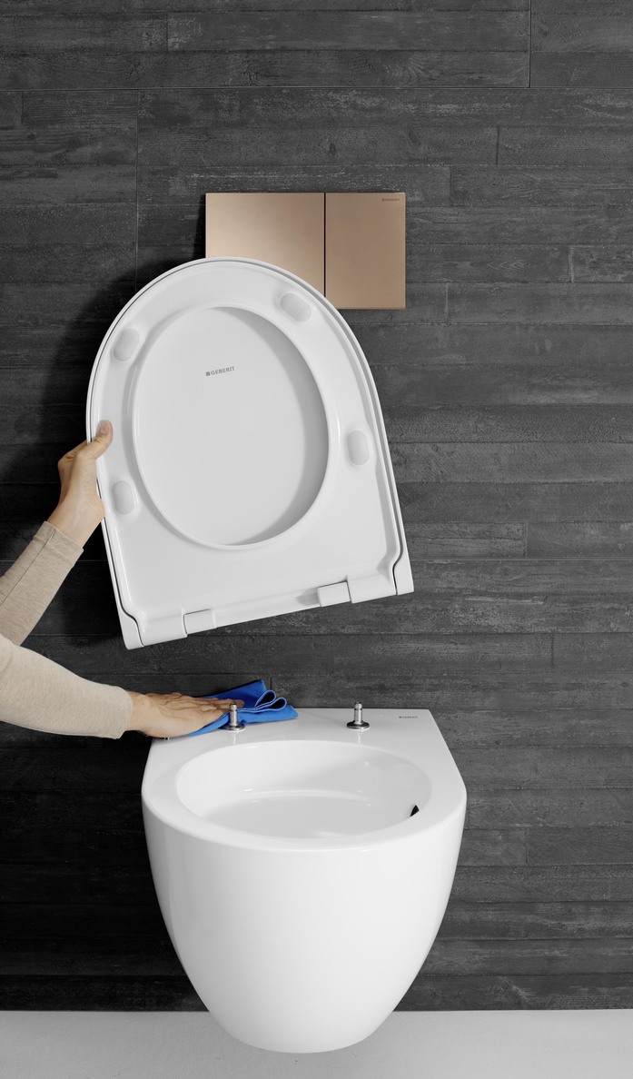 Geberit Acanto Quick Release 2