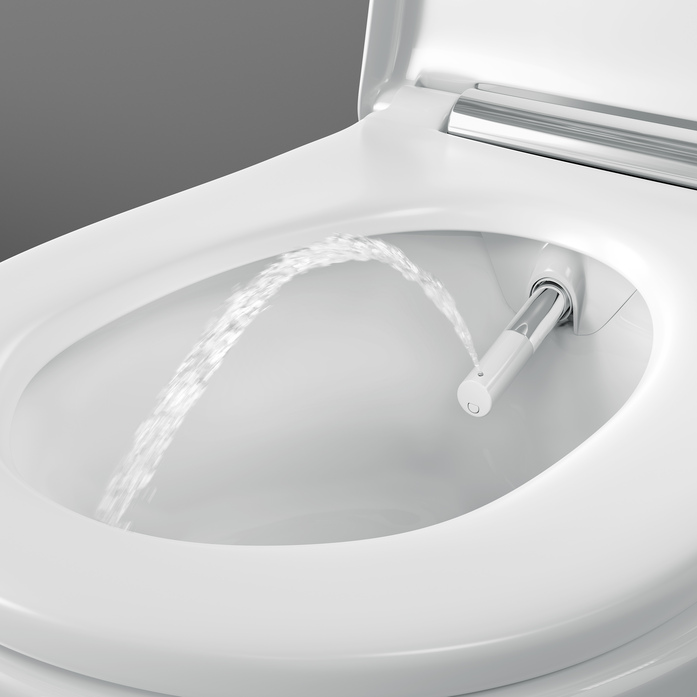 Geberit Aqua Clean Sela Whirl Spray