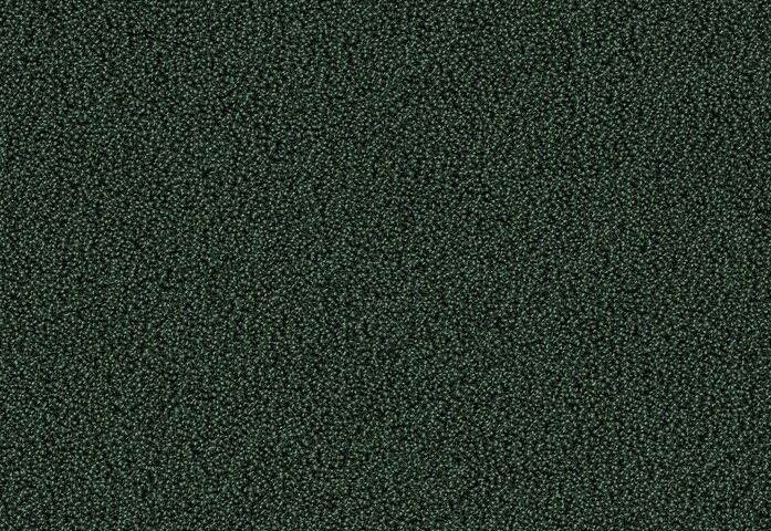 Gloss 7919 k