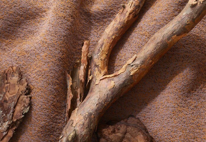 I 13031 C0351 W30