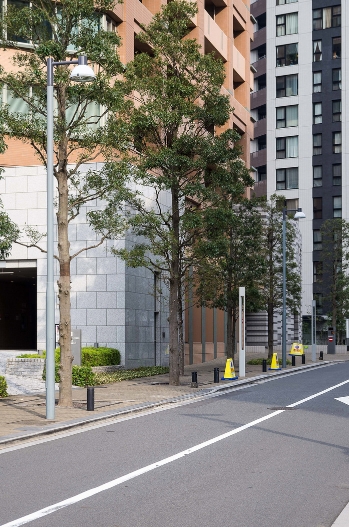 Iidabashi PLANO 02 04519