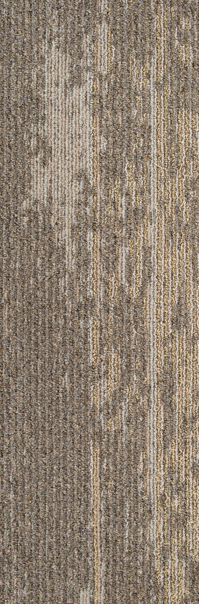 Metallic Path 859