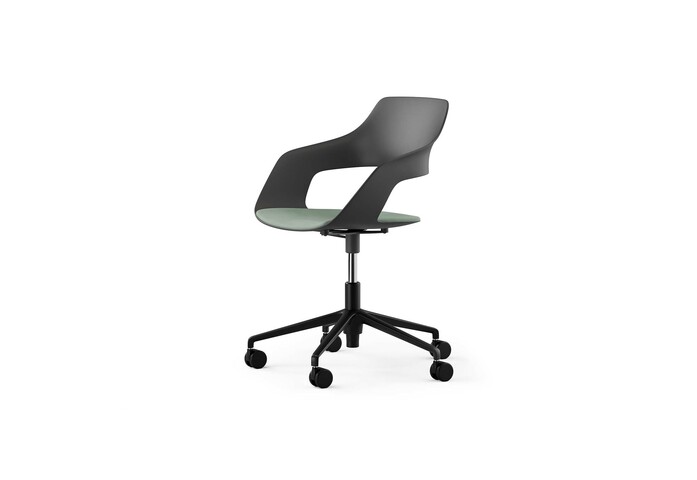 Occo SC 002