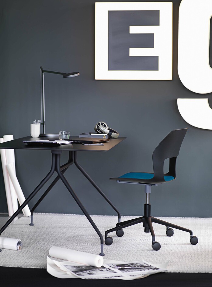 Occo 003