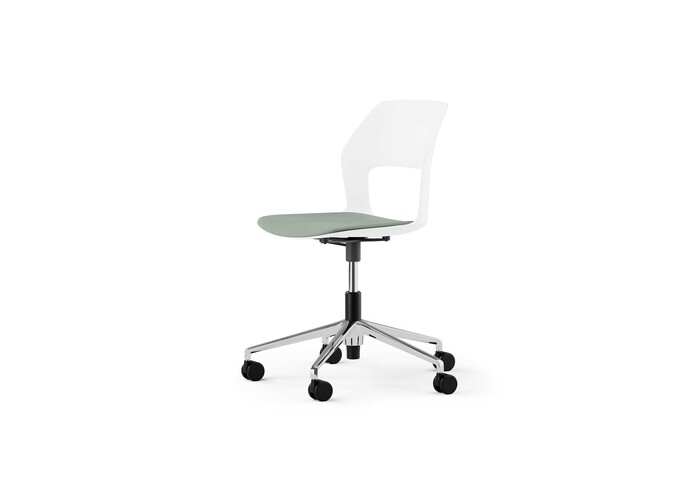 Occo 004