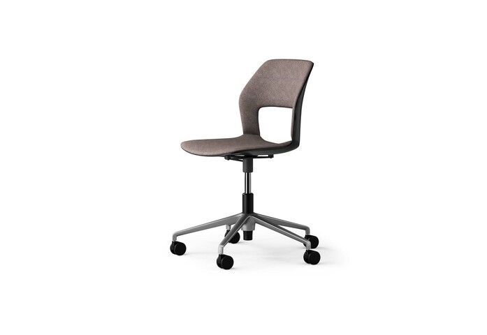 Occo 005