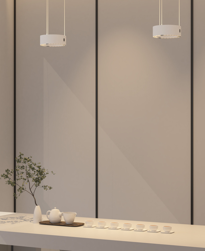Office 01 boss 3 c Space pendant
