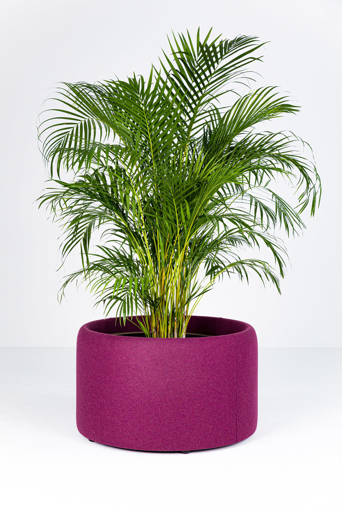 PS Buzzi Planter 555