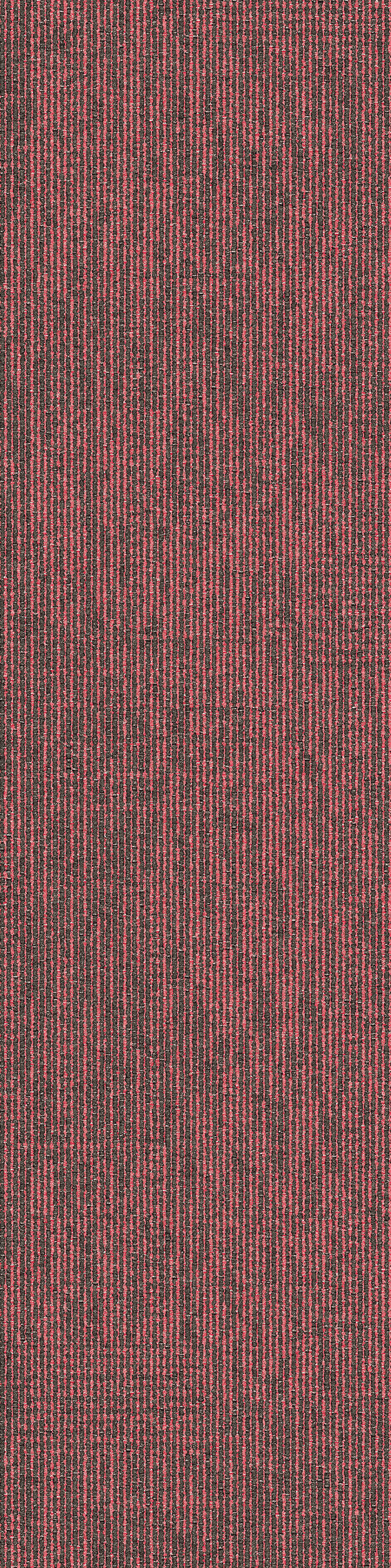 Provisional Zen Stitch Poppy va1