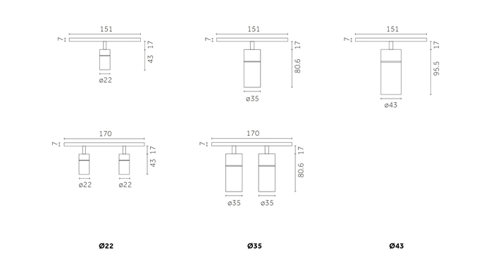 Reggiani Outline10