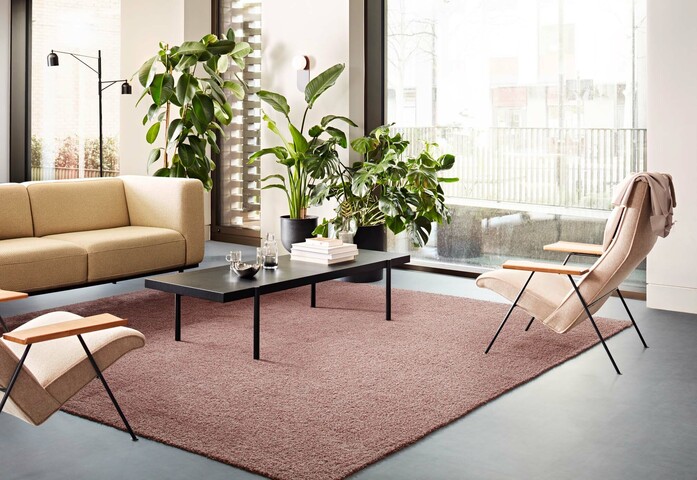 Tand T2 103 Blush M Level Set Distressed Concrete ND interface small