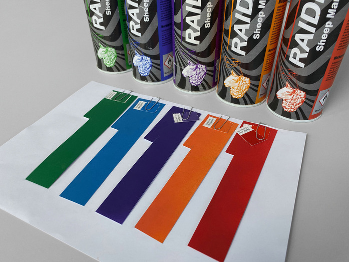 Technicolour Spray Cansfor Sheep