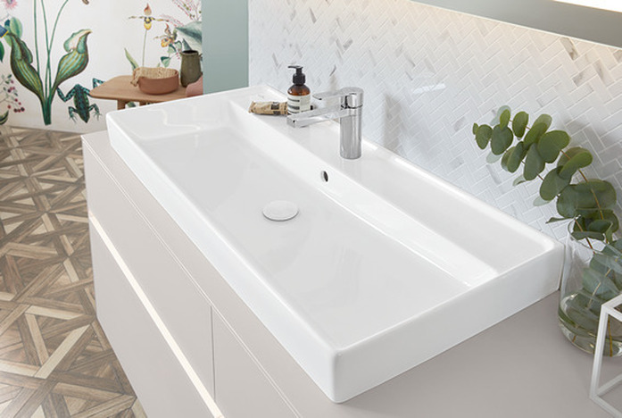 VB Collaro 2019 F4196