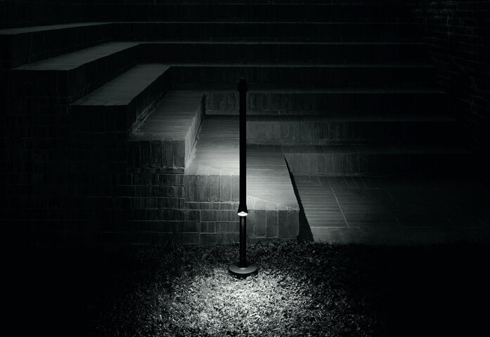WALKSTICK00001