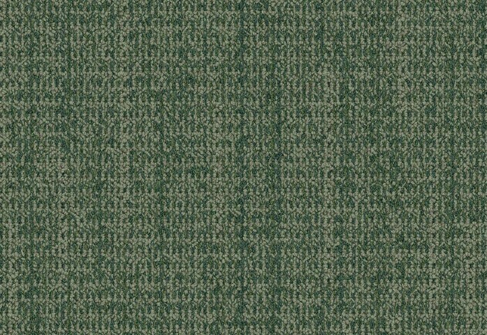 WG100 Forest interface small