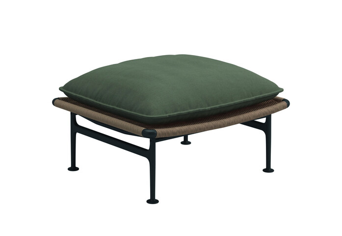 Zenith Ottoman Fife Lichen