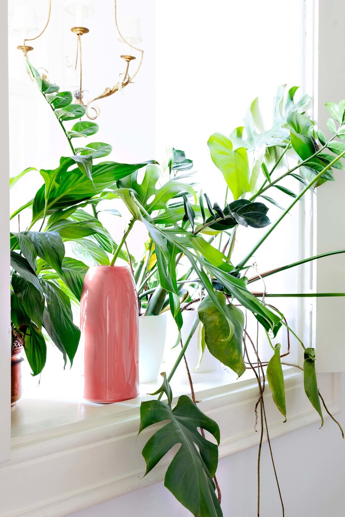 Carla accessoires interior carnation schoenbuch