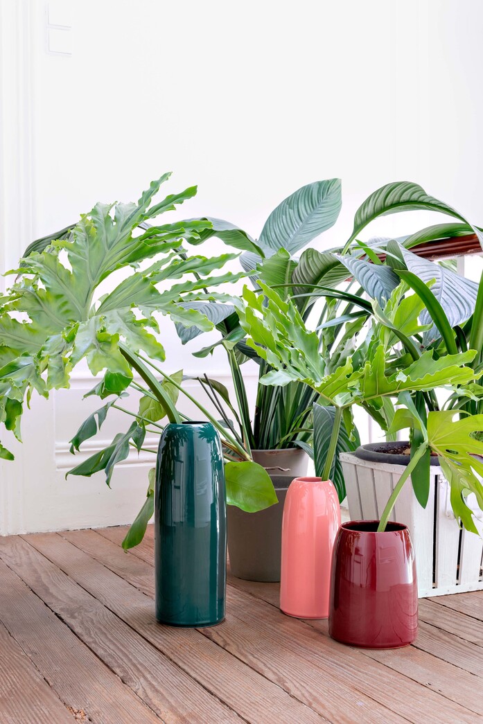 Carla accessoires interior jewel carnation wine schoenbuch