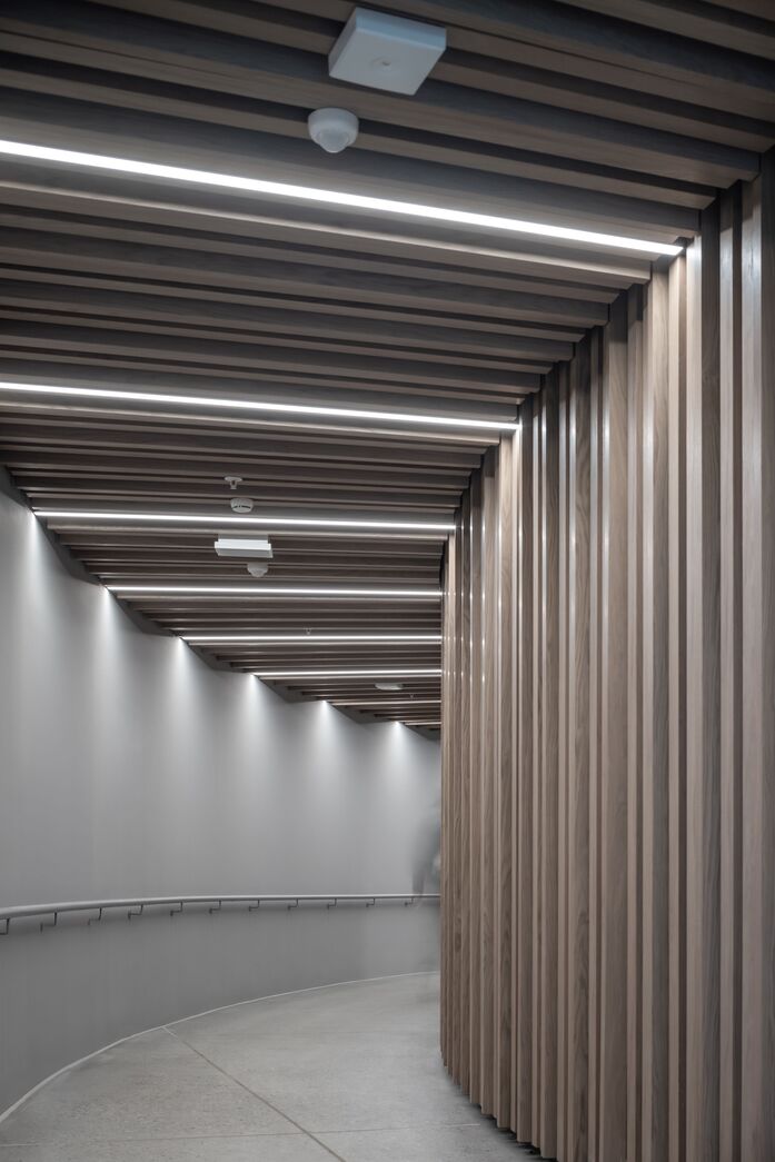 Ceiling 5