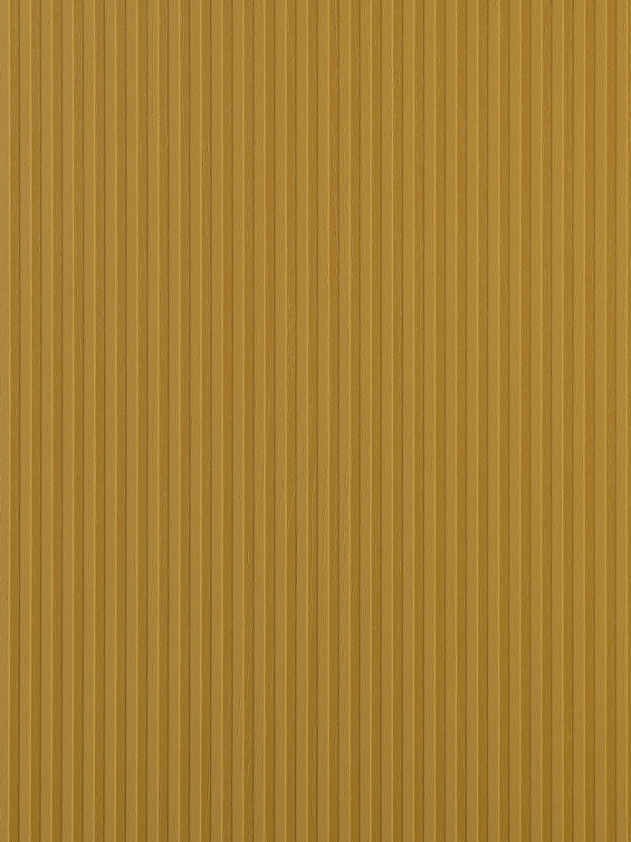 Riga ub53 1