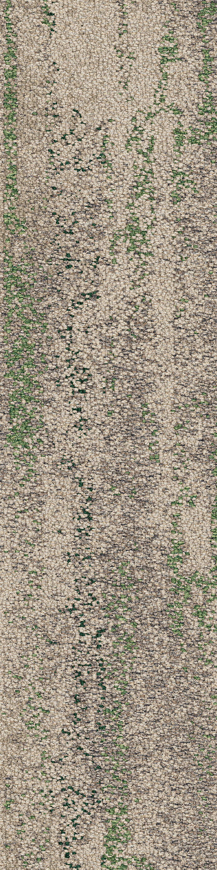 Shallows rainforest va1 2048x2048