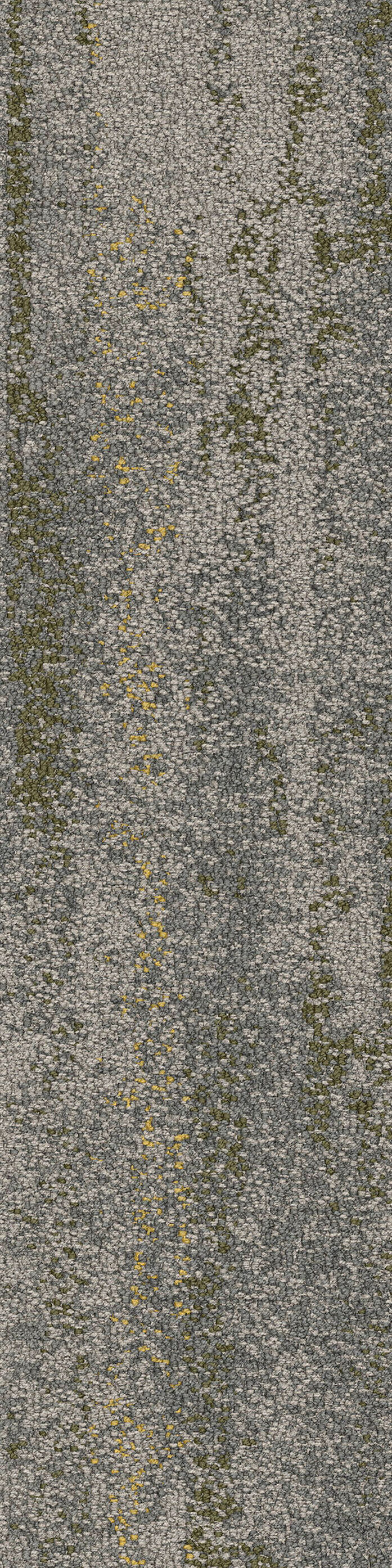 Shallows spinifex va1 2048x2048
