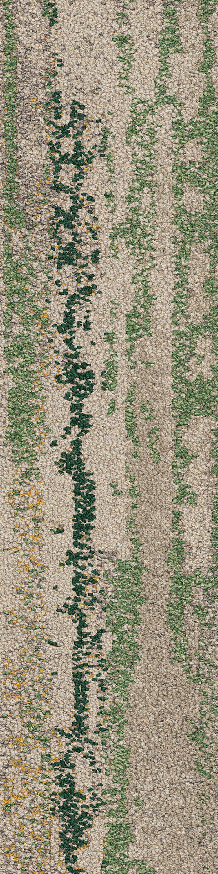 Undulating water rainforest va1 2048x2048