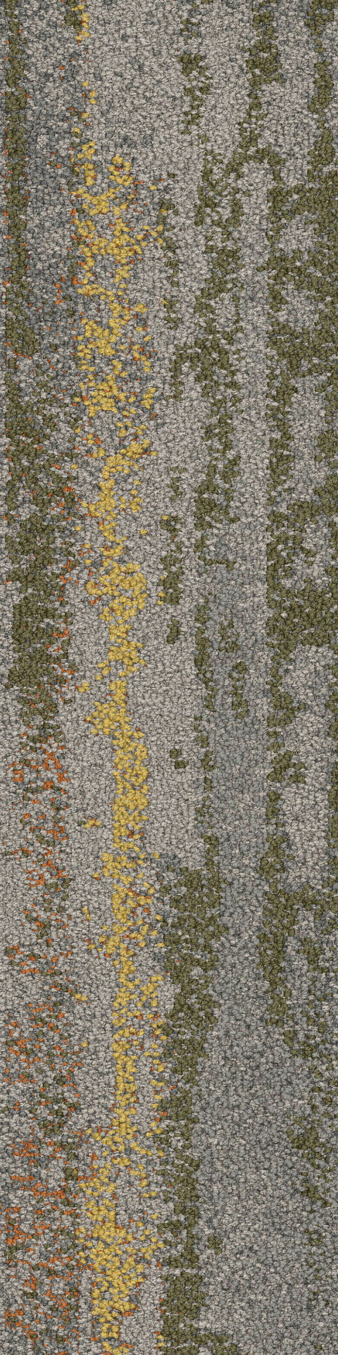 Undulating water spinifex va1 2048x2048