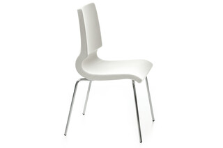 Ricciolina with legs  by  Maxdesign