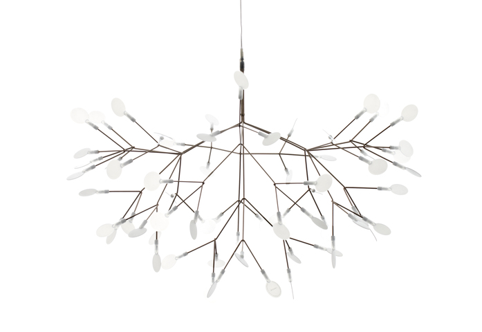 Heracleum Ii 2