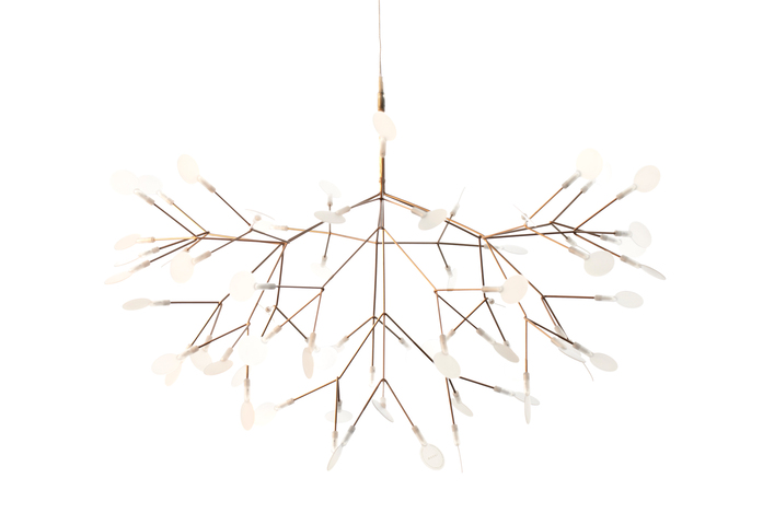 Heracleum Ii 3