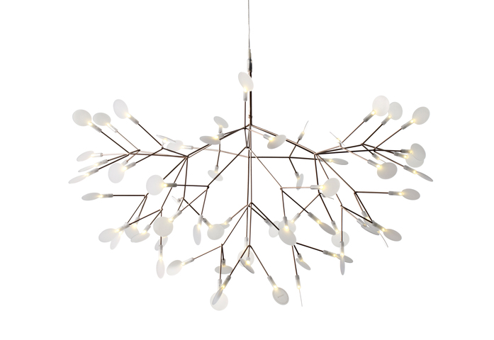 Heracleum Ii 5