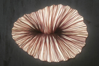 BABY CORAL  by  Aqua Creations