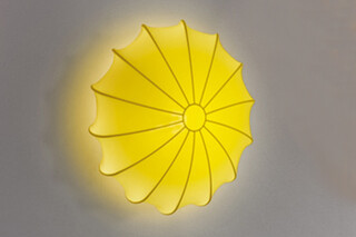 Muse ceiling/wall 40  by  Axolight