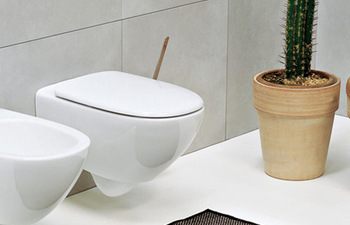 Spin WC