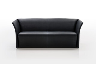 Magnat sofa  by  Brühl