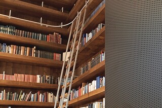 SL.6005.AK Vario-Telescopic Ladder  by  MWE