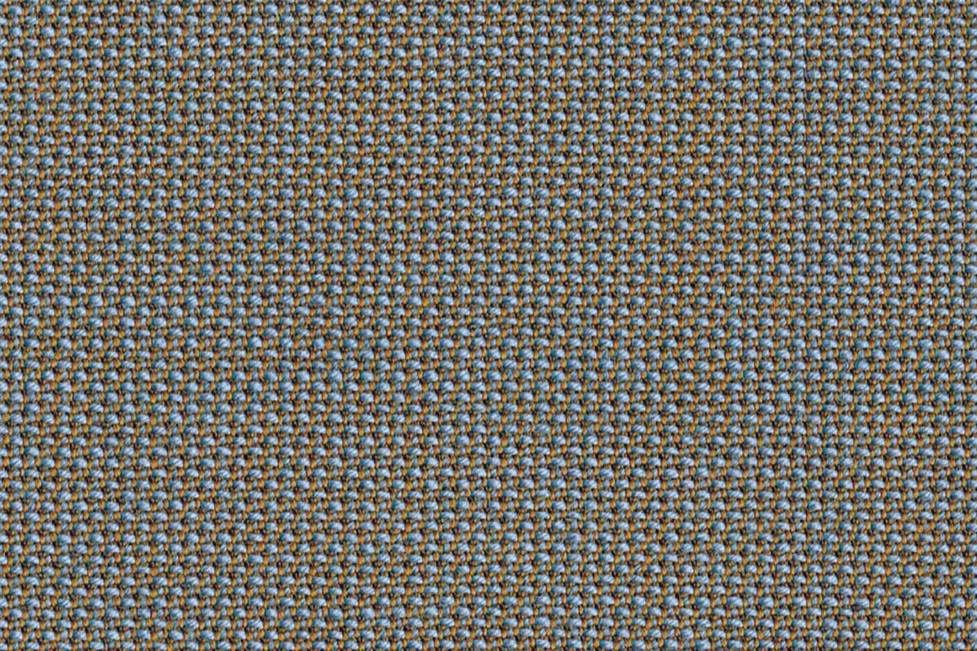 TOPIA seashell