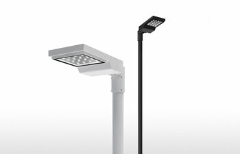 Cefiso Palo
