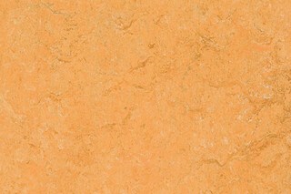 Marmoleum Fresco  by  Forbo