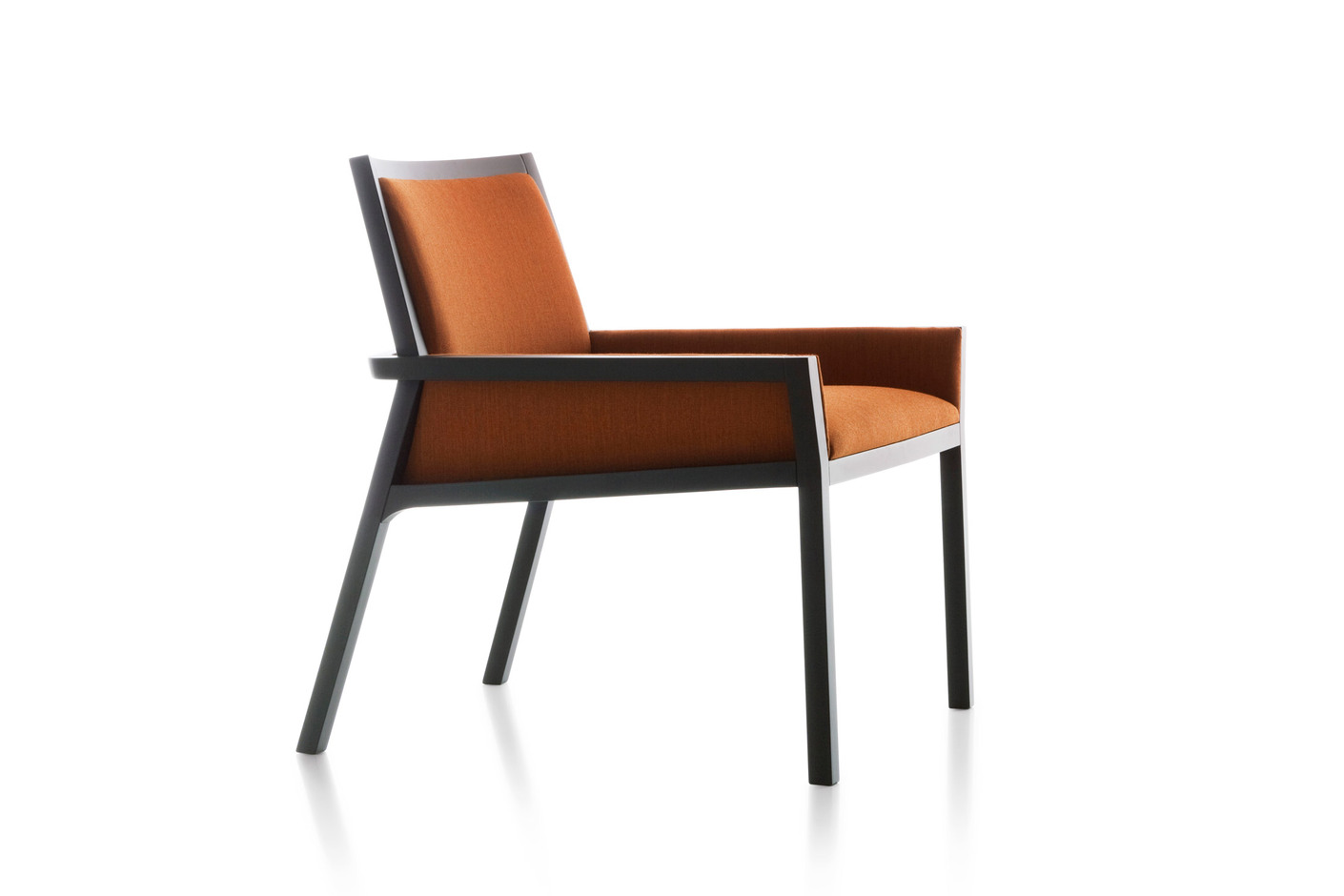 Basicwood Loungechair 2