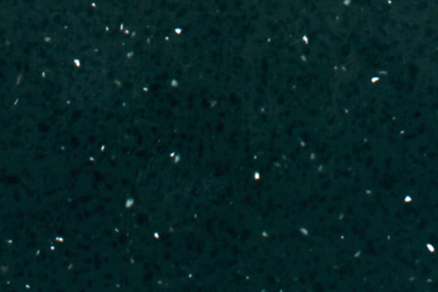 Black Pearl 1