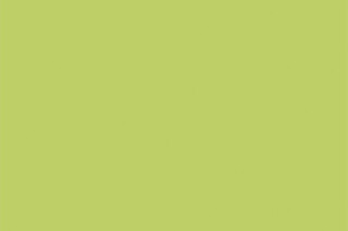 Solid Light Green  by  HIMACS