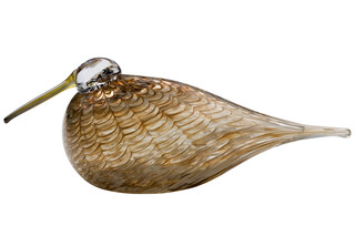 Eurasian Woodcock  von  Iittala