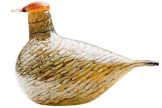 Summer Grouse  von  Iittala