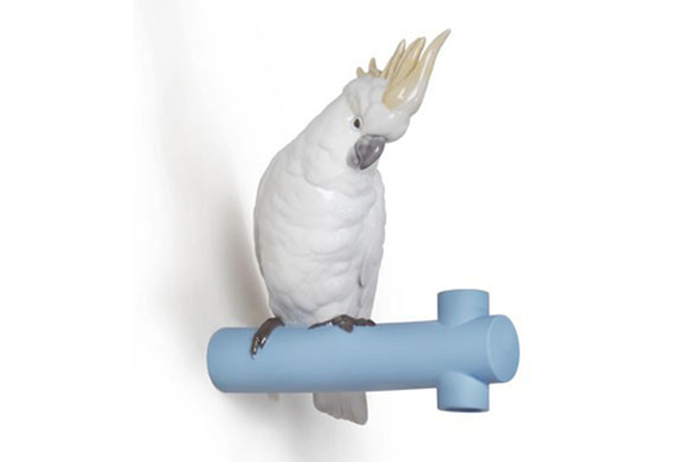 Parrot Hang