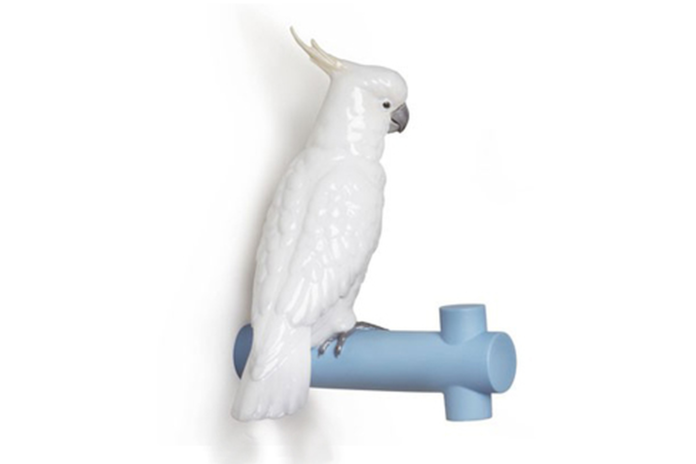 Parrot Hang