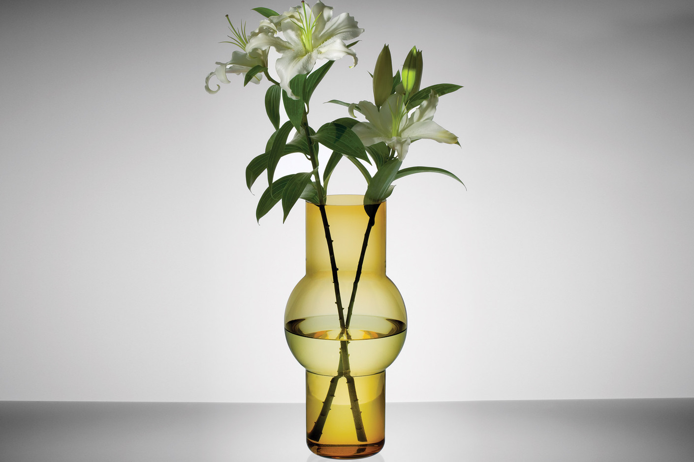 Boa Vase