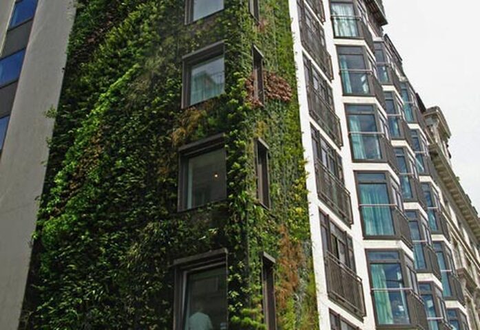 Hotel Athanaeum London 4